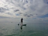 Paddle boarden