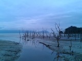 Bijzonder landschap