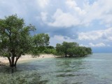 Pulau Menjangan