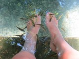 Natuurlijke 'Fish Spa'