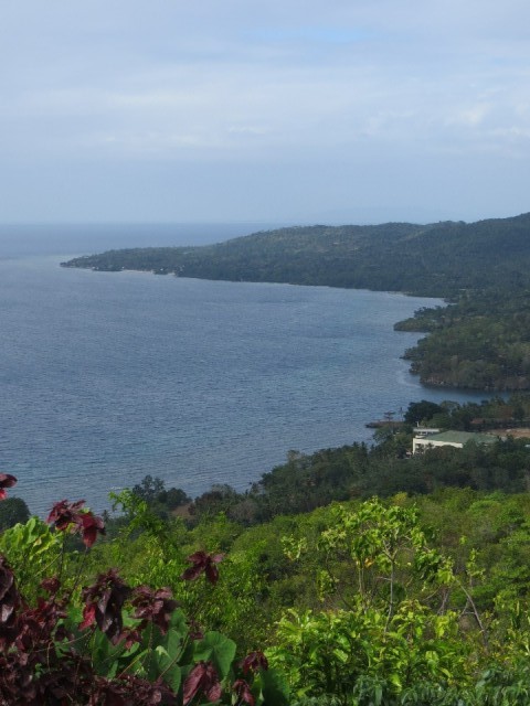 View from the top