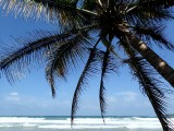 Red Frog Beach