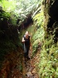 Pianista Trail