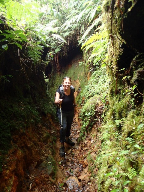 Pianista Trail