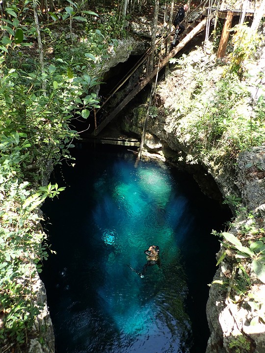 Duiken in de cenotes