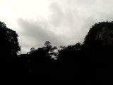 Bat Exodus @ Gudung Mulu NP