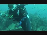 Stalkerfish (formeel: Remora) met bil-obsessie...