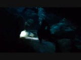 Duiken in een cenote: door de tunnels van Dos Ojos