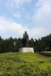 IMG_1269