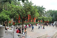 IMG_1270