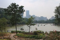 IMG_1284
