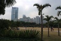 IMG_1293