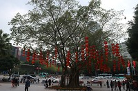 IMG_1294