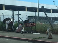 Californië 2