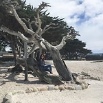 Californië 3