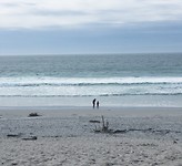 Californië 4