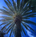 Californië 12