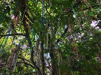 New Orleans - beads