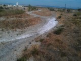 IMAG0416