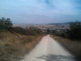 IMAG0423