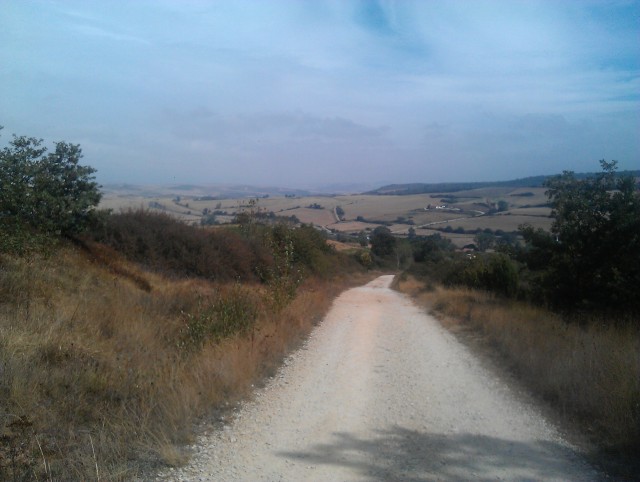 IMAG0423