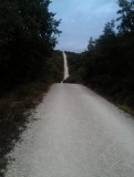 IMAG0424