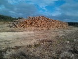 IMAG0425