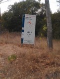 IMAG0426
