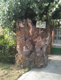 IMAG0432
