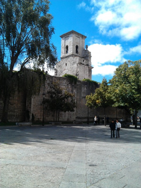 IMAG0435