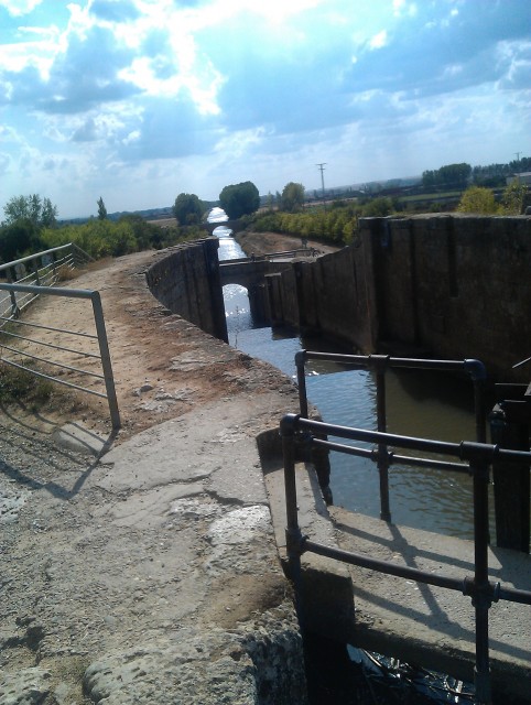 IMAG0467