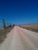 IMAG0471