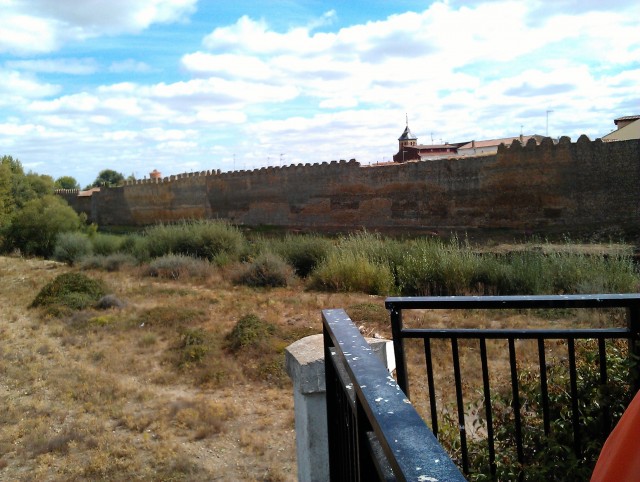 IMAG0474