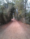IMAG0497