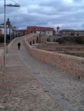 IMAG0501