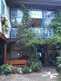 IMAG0503