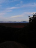 IMAG0506