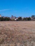 IMAG0509