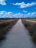IMAG0519
