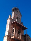 IMAG0523