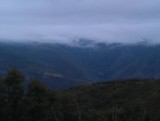 IMAG0533