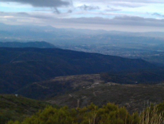 IMAG0534