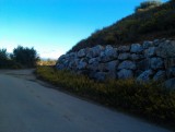 IMAG0549