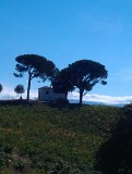 IMAG0558