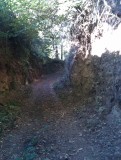 IMAG0568