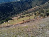 IMAG0571