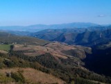 IMAG0579