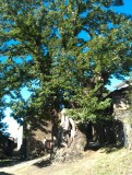 IMAG0585