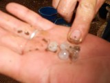 26) Van 43 graden naar hagel en weer terug