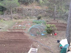 6) De tuin wordt groter